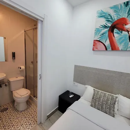 Ayz Silvela - Auto Check-in Málaga